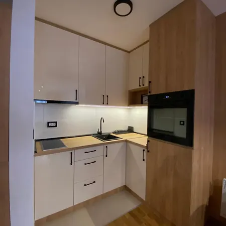 Apartment Petrovic 026 *