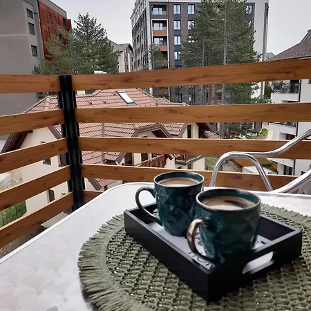 Petrovic 026 Apartment